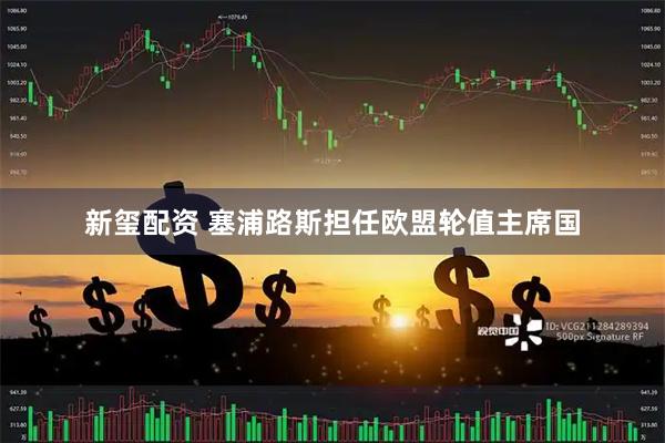新玺配资 塞浦路斯担任欧盟轮值主席国